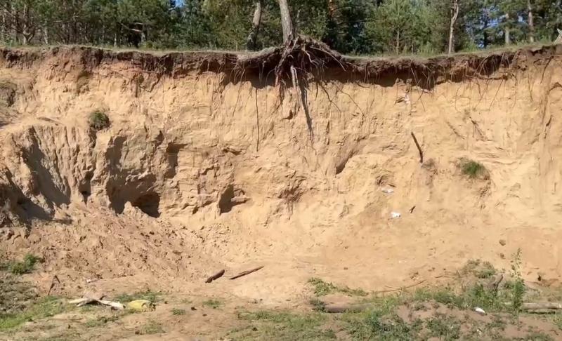 Фото: Кадр из видео Следком России