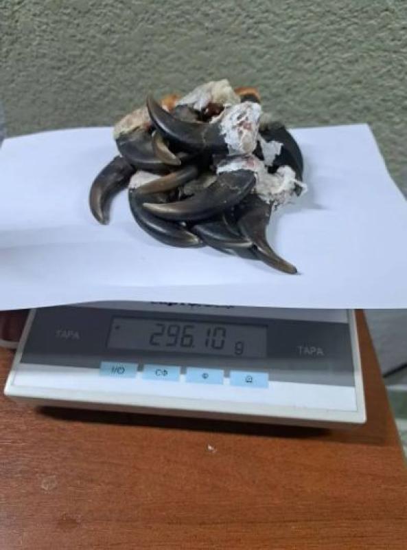  Фото: федеральная таможенная служба